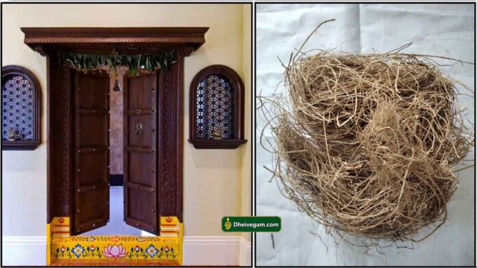 vasal-vetti-ver