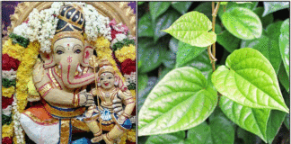 vinayagar betal leaf