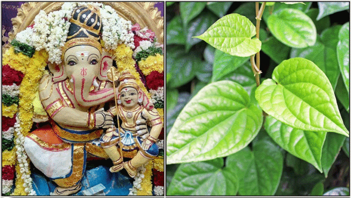 vinayagar betal leaf