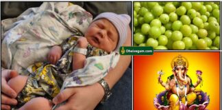 baby-vinayagar-nelli