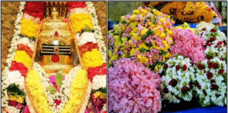 shivan flowers