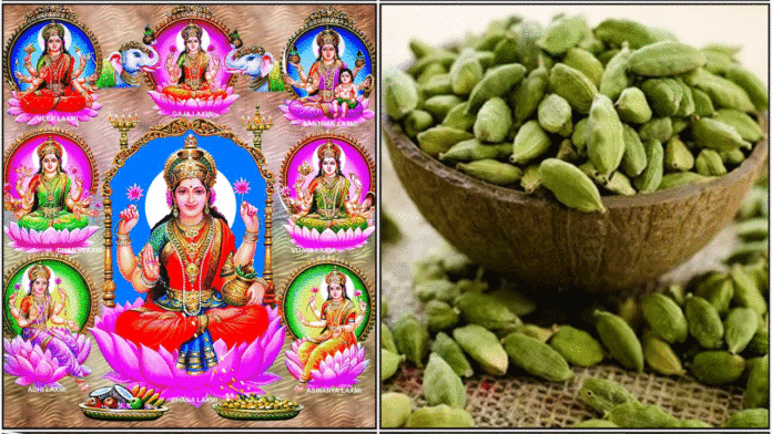 lakshmi elakai