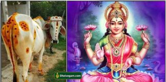 9-11-2024 கோஷ்டாஷ்டமி வழிபாடு mahalashmi