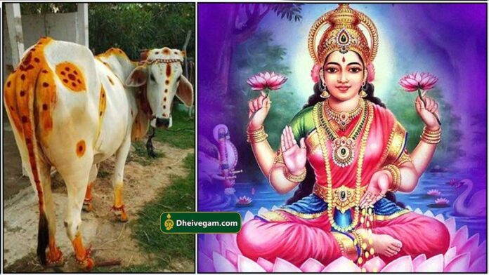 mahalashmi