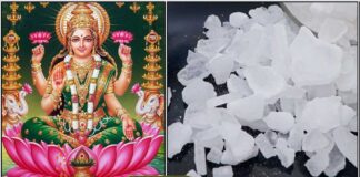 mahalashmi