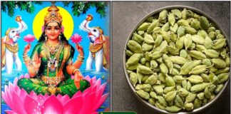 mahalashmi