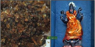 mahishashi-sambrani-durgai
