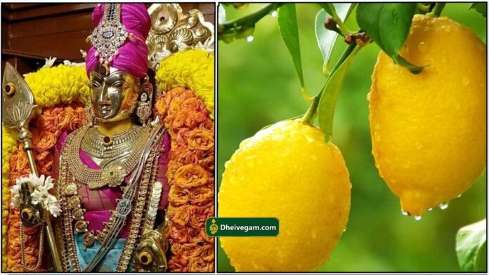 murugan