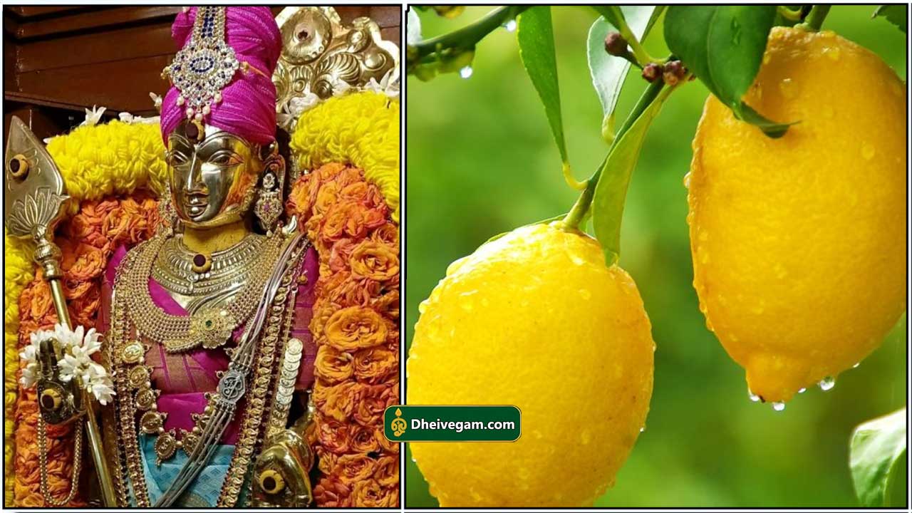 murugan