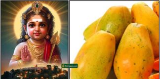 murugan-pappali