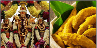 murugan turmeric