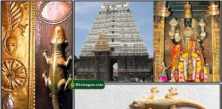 வீட்டில் பல்லி தரும் பலன்கள் palli-valipadu
