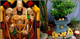 உத்தான ஏகாதசி வழிபாடு perumal