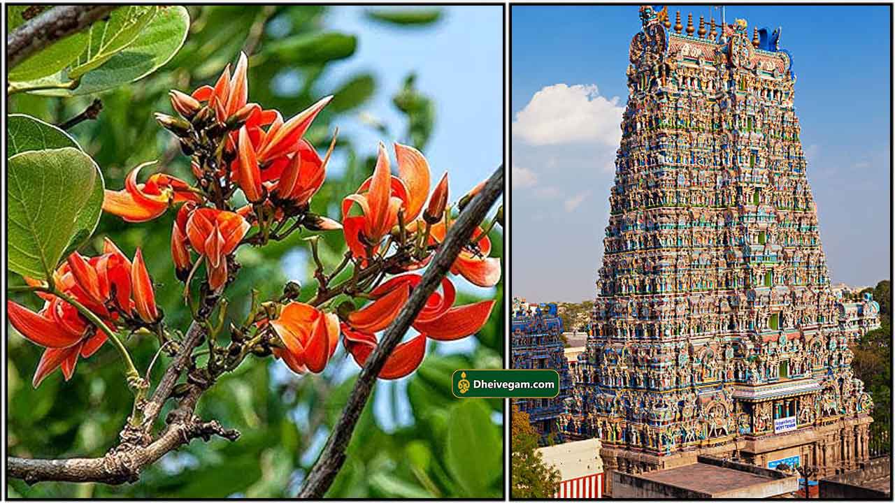 purasai-maram-gopuram