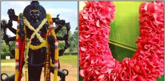 வாழ்க்கை போராட்டத்தைப் போக்கும் காலபைரவர் வழிபாடு bhairavar poojai