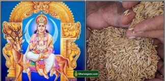 chandran