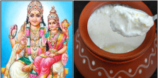 curd