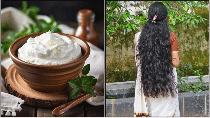 curd hair
