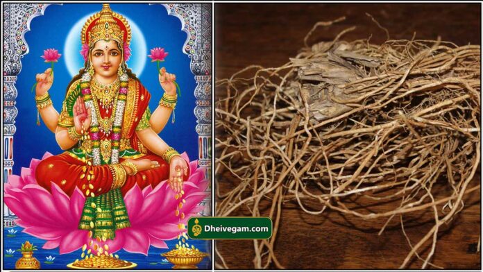 mahalashmi1