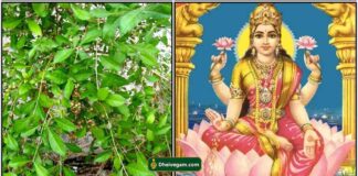 maruthani-lakshmi