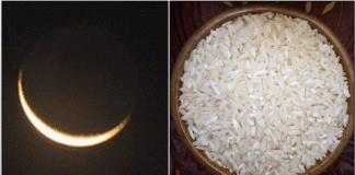 moon rice