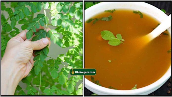 murunga-keera-soup