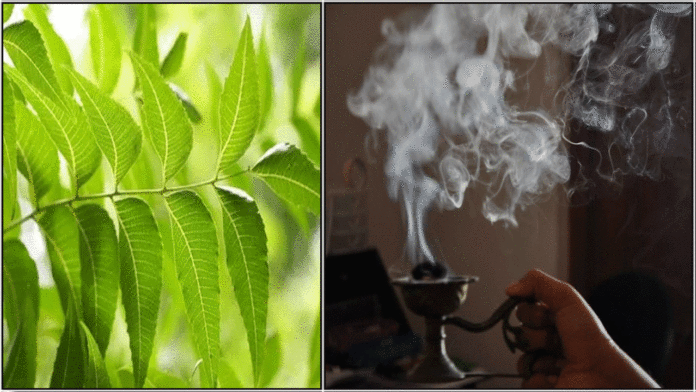 neem sambarani