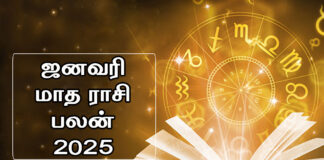 ஜனவரி மாத ராசி பலன் 2025 – 12 ராசிகளுக்குமான துல்லிய கணிப்பு rasipalan
