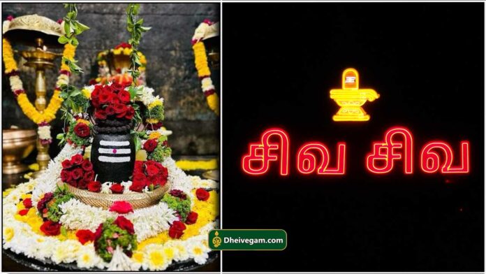 siva-siva