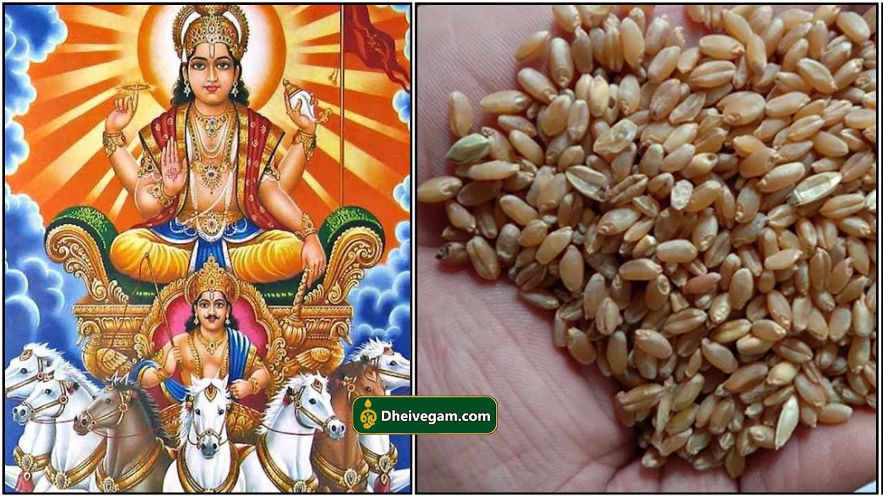 surya-bagavan