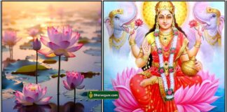 thamarai-lakshmi