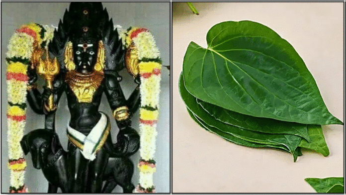 bairavar