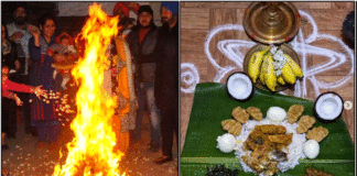 bhogi