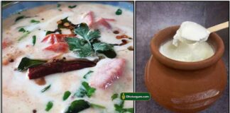curd-chutney