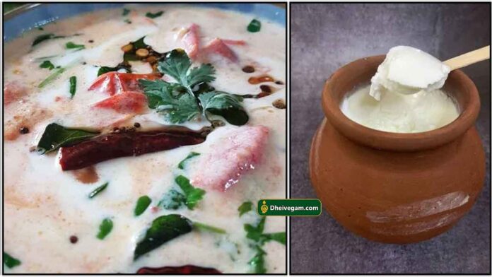curd-chutney