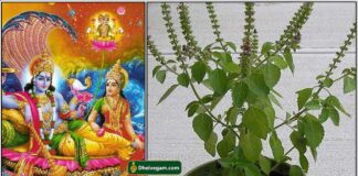 ekadasi