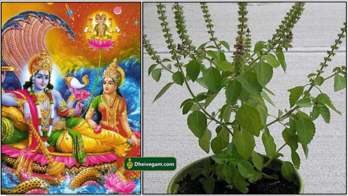 ekadasi