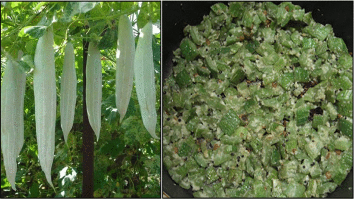 snake gourd curry