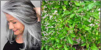 white hair pack