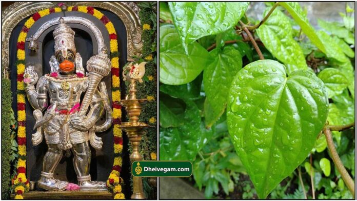 hanuman