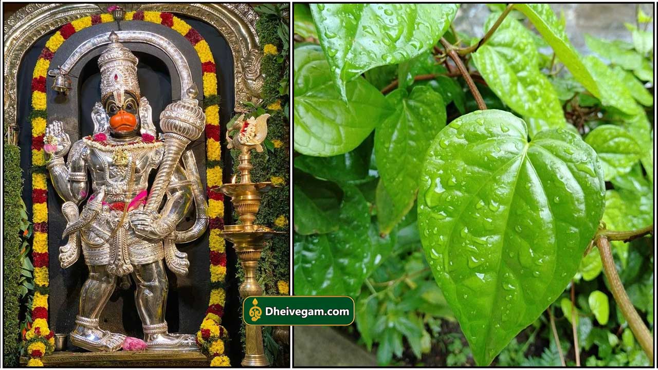 hanuman