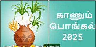 kanum-pongal