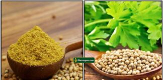 மல்லித்தூள் அரைக்கும் பாரம்பரிய முறை malli-thool