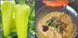 chutney
