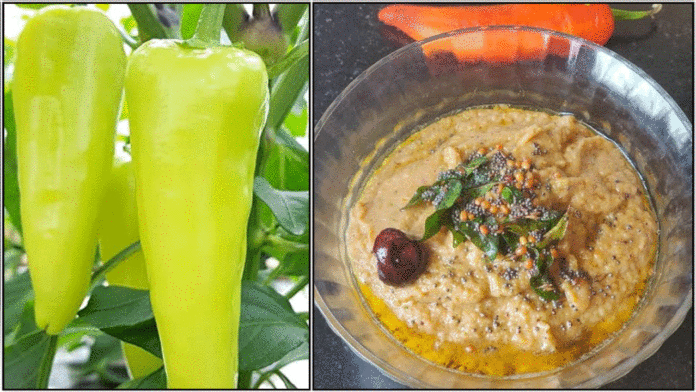 chutney