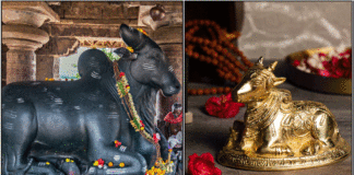 nandi