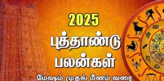new-year-2025