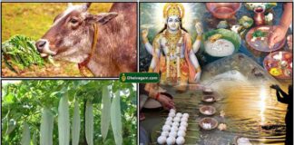 பசுவிற்கு அகத்திக்கீரை யார் கொடுக்கக்கூடாது? pithru-dhanam