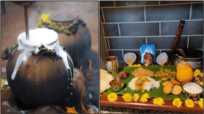 pongal