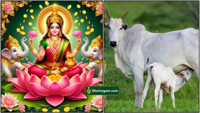 cow